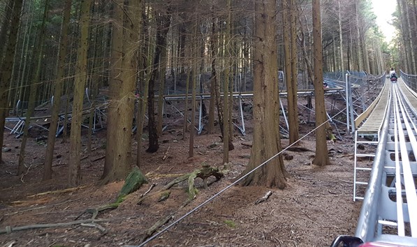 Fforest Coaster in Betws y Coed