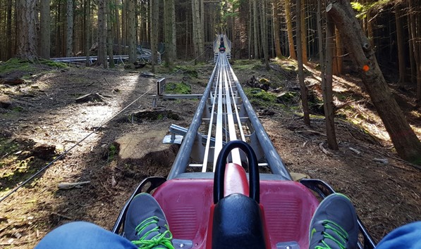 Fforest Coaster in Betws y Coed