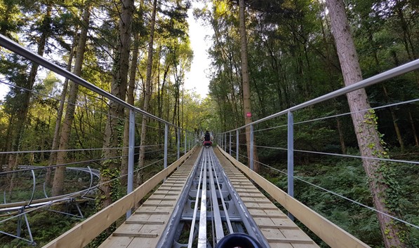 Fforest Coaster in Betws y Coed