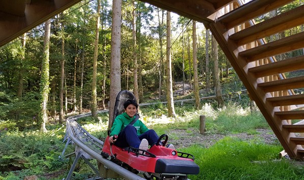 Fforest Coaster in Betws y Coed